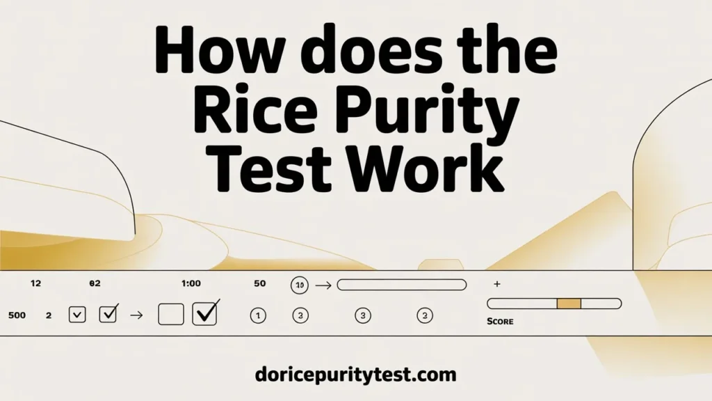 The Four Categories of Questions on the Rice Purity Test